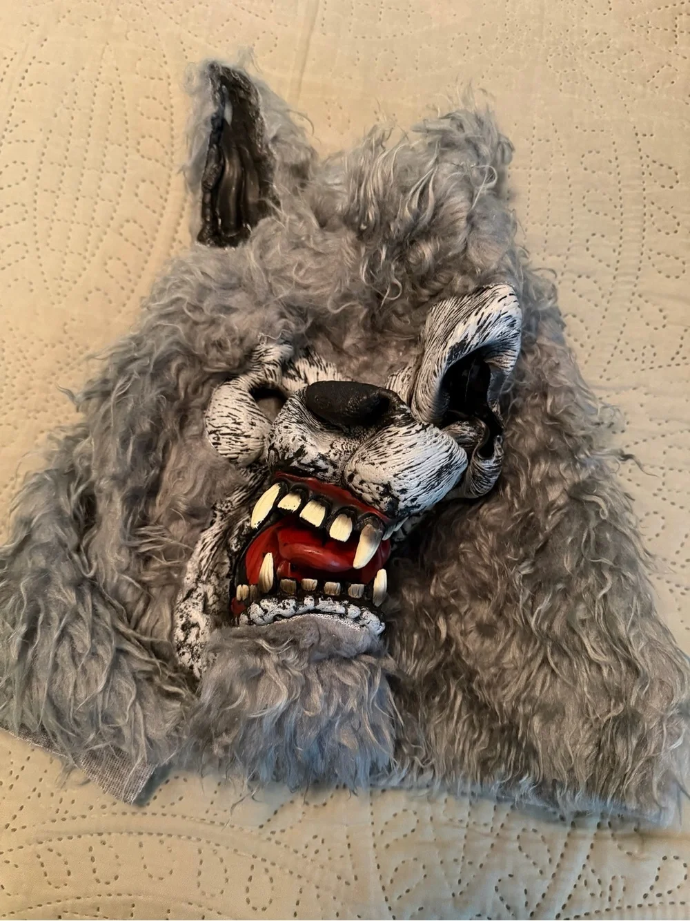 California Costumes Gray and Black Werewolf Kids Costume with Mask